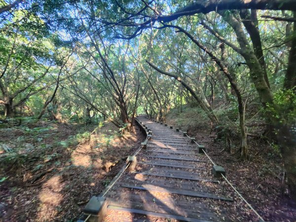 20250921學田山王田山大肚山大尖山竹坑山2928483