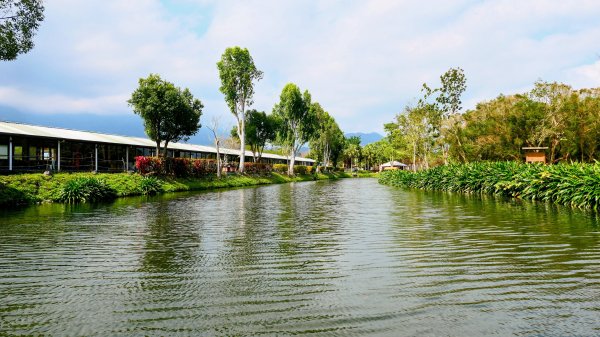 豐之谷,理想大地,林田山,立川漁場3007269