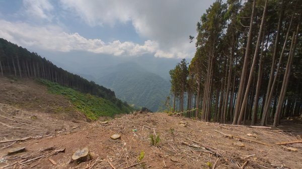 民都有山+西高橋山1524316