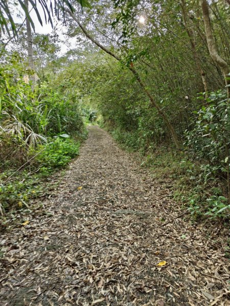 2024.03.24 飛鳳古道2908486