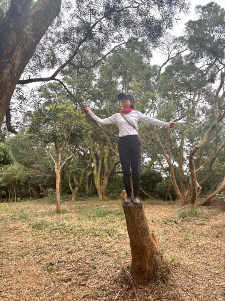 20260127三通嶺山.三義山(大桁茂山).慈濟山.大坪山大O走2990014