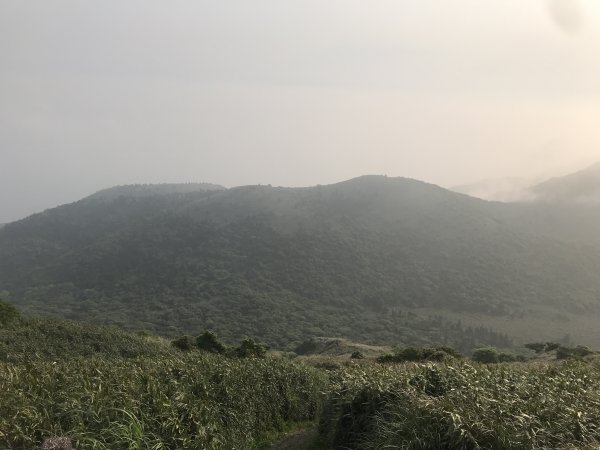 大屯山系1341597