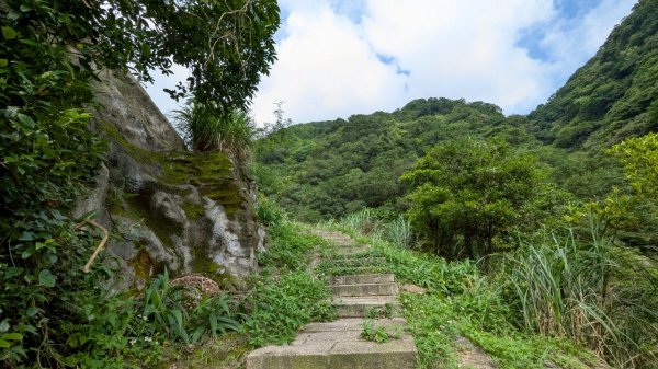 114.05.30大粗坑古道-金瓜石山-小粗坑山之旅2799435