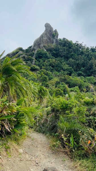 12/14(六)⭐墾丁恆春縱走~墾丁牧場-遙望大尖山-小尖山-大山母山(小百岳)-下石牛溪出赤牛嶺⭐2669327