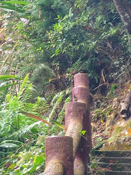 鳳鳴古道 鳳鳴山 南隘勇（南長城）古道 三湖山 八達嶺（龍骨）古道 綠色古道 延平古道2975276