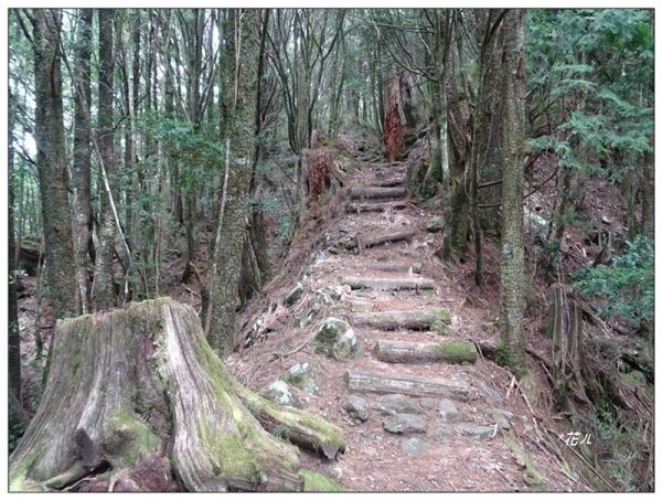 鞍馬山、鞍馬山東北峰(台中/和平)1653607