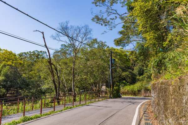 [台北]大崙頭山、碧山巖、忠勇山2746147