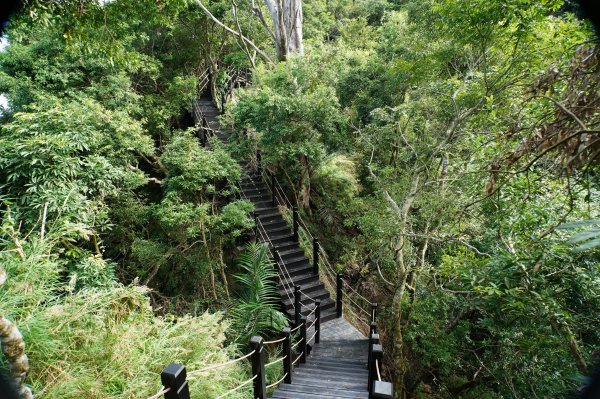 台中 和平 埋伏坪山2924983