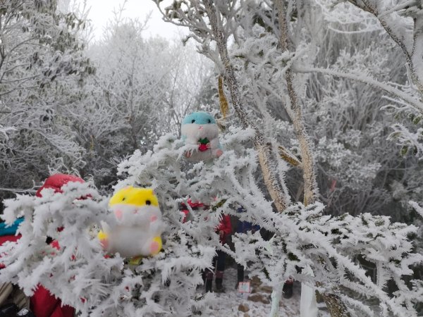 雪季北得拉曼2956407