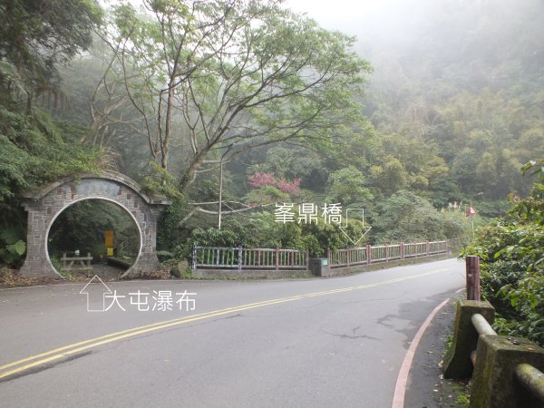 北投區陽峰古道+東昇步道+鼎筆橋步道十八挖水圳步道+猴崁古道+青春嶺步道+大屯瀑布8字走2775628