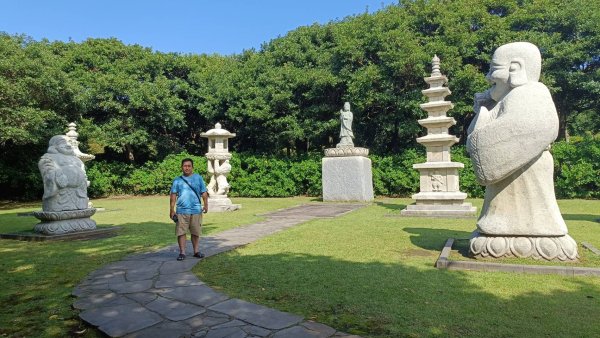韓國濟州島：山茶花之丘2912440