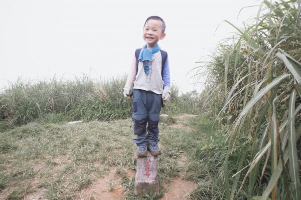 四歲小樂的第五座小百岳-鵲子山964897