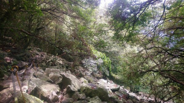 坡很陡的波津加山(老四)1835020