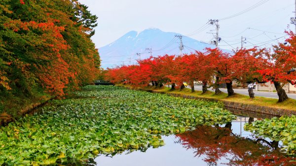 青森縣津輕藩睡魔村2929968