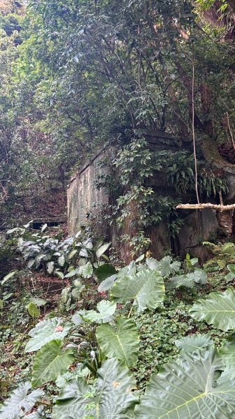 士林劍潭山軍事地景漫走3048872