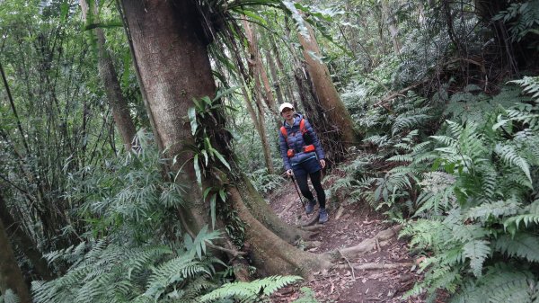 獵貍尖步道連走烏塗溪步道登山健行趣(淡蘭南路TK3-6&TK3-5&TK3-4)2404489