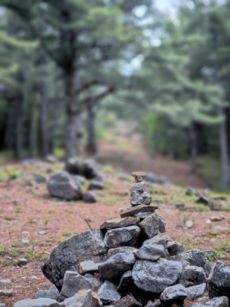2026-05-23 小雪山防火巷、拾丸山南峰3062356
