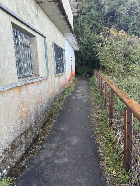 20251225塔山步道(大塔山)2970413