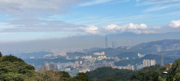 貓空樟湖、樟樹環型步道2414927