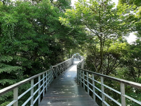 觀音山尋寶之林梢 楓櫃斗湖 福隆山 尖山1031483