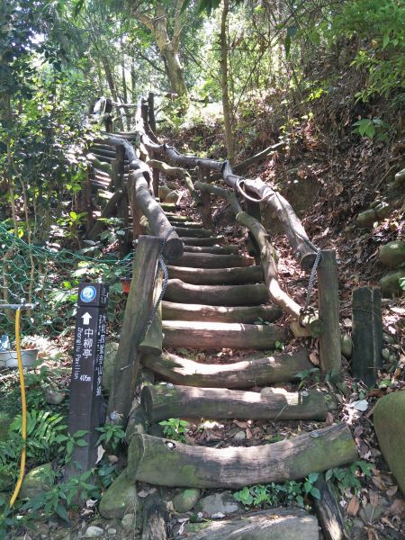 大坑4號步道&頭嵙山374860