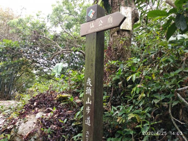 步道巡訪員 l 崁頭山步道巡訪員四月份巡禮933902