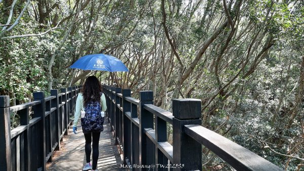 《台中》心靈雞湯｜大肚萬里長城登山步道O繞202507052827436