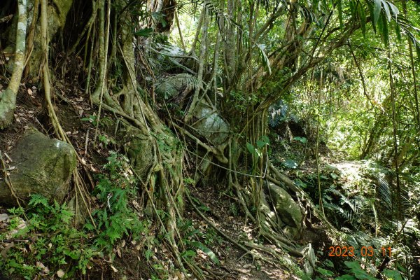 花蓮 豐濱 八里灣山(貓公山、吉拉雅山)2066424