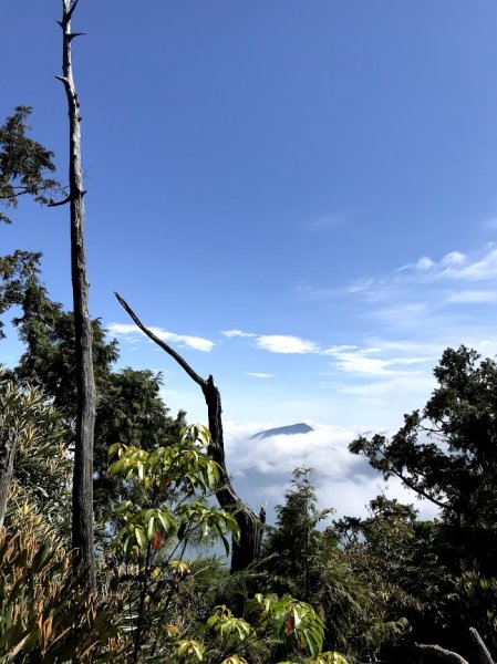 高島縱走（高台山連走島田山）202105081968743