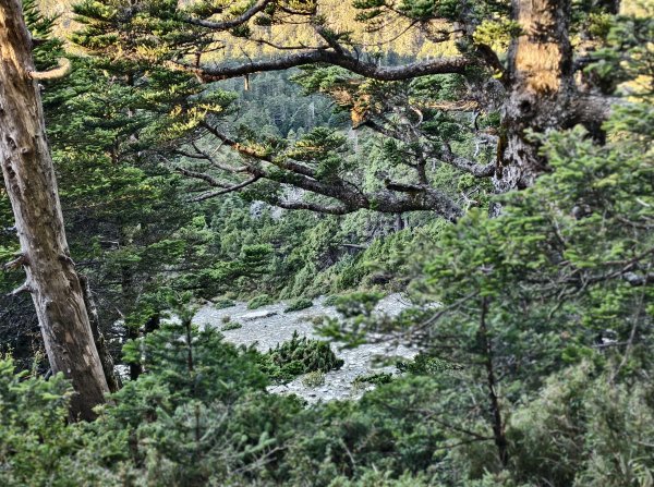 北一段(08/14)陶塞峰 2025_0906~132886928