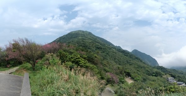 瑞芳區基隆山步道O型3010147
