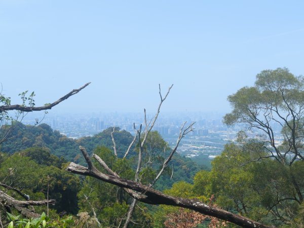 2026.05.02－聚興山步道3045921