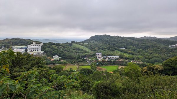 楊梅秀才步道走透透2307844