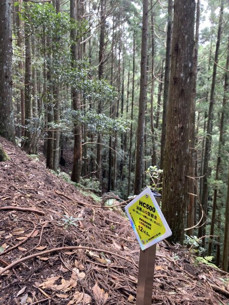 20250713-Ep.09油羅山步道-2025森遊竹縣皮皮獅探險隊2851889