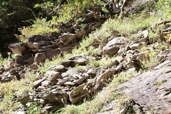 合歡溪步道健行174469