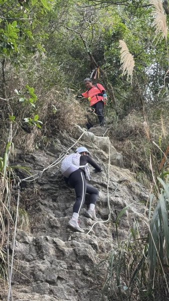 20260127小百岳三腳南山2990282