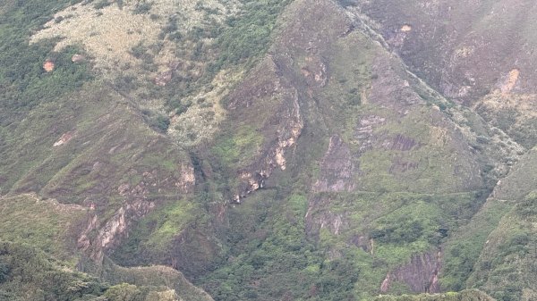 新北 瑞芳 黃金八稜七稜O型2956144