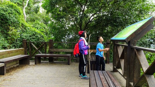 今天，我想來點飛鳳山，叮咚。1142041