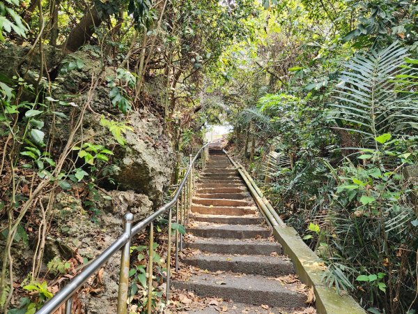 小百岳No.74⛰大崗山3025122