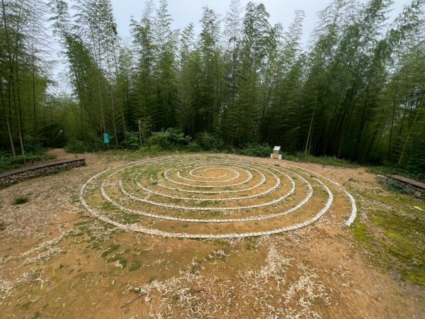 嵐山再古坑。五元兩角 木馬古道2806182