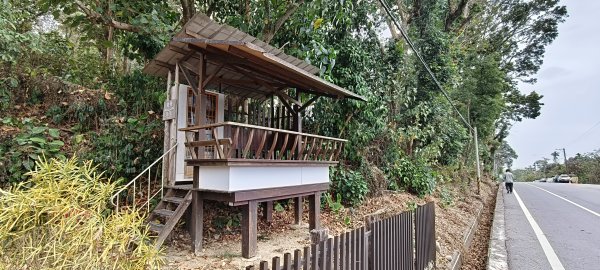 2026/02/27-荷苞山登山步道3010029