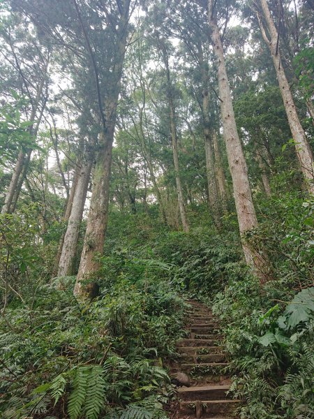 滿月圓-東滿步道1293517