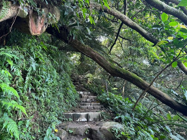 福山巖步道上溪洲山2158554