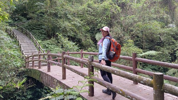 (姨婆趴趴走)第二集:桃園金牌縱走，攀登金平山、金平山南峰、牌子山，順道造訪三民蝙蝠洞2104930