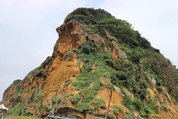 深澳 酋長岩  象鼻岩步道，深澳漁港海天步道，野柳地質公園。鬼斧神工的，深澳岬角2172433