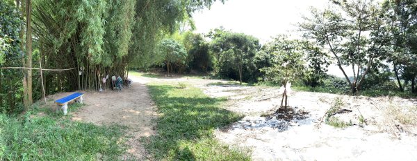 20250906台南合山-觀音山-大坑尾山-臭腳崎山2881451