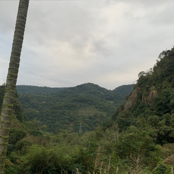 20200129麟光站到中華科大817858