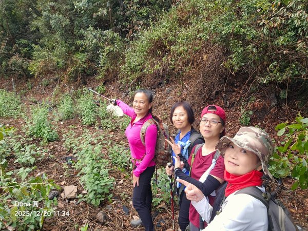 20251220上谷關山縱走四連峰2974334