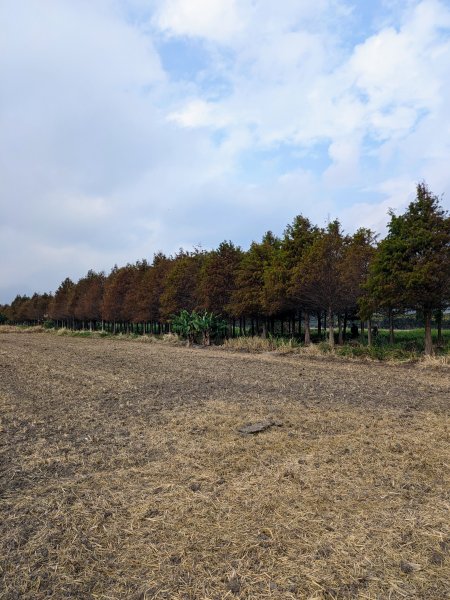 農禪寺,普濟寺2407045