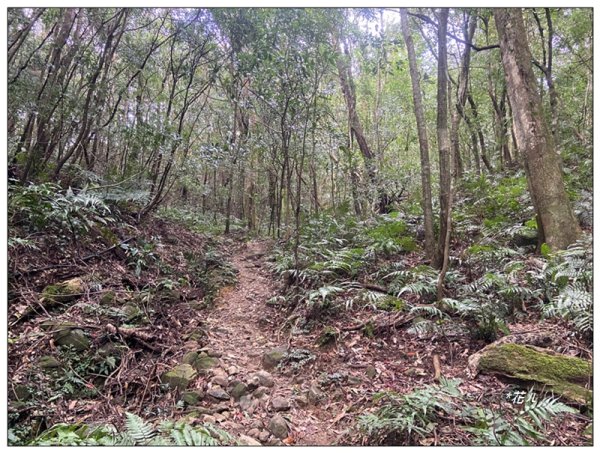 赫威山、多崖山、北插天山 連走2957273